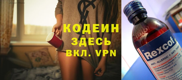 сатива Надым