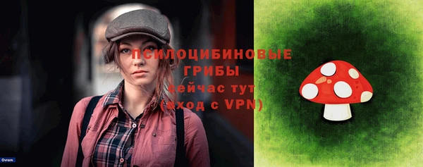 соль ск Навашино