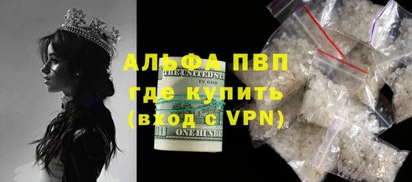 сатива Надым