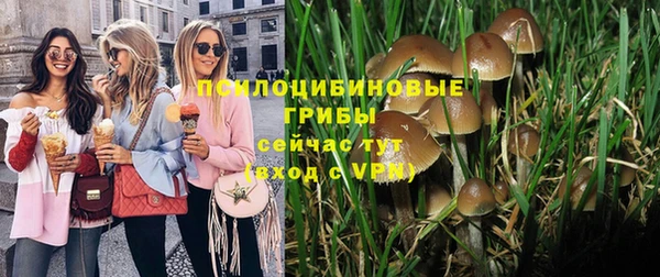 сатива Надым