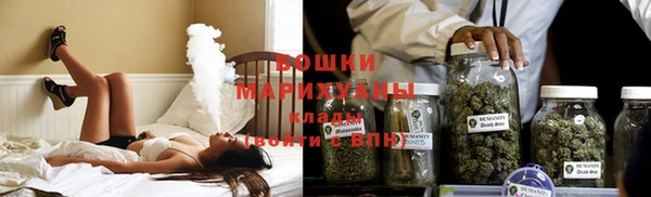 сатива Надым