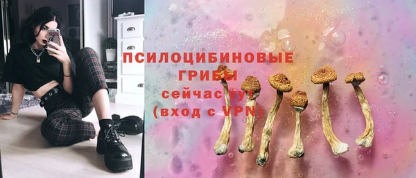 сатива Надым