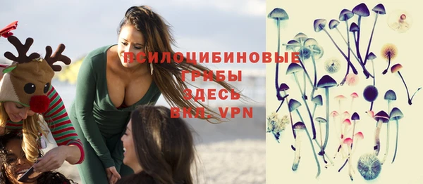 мдпв Михайловск