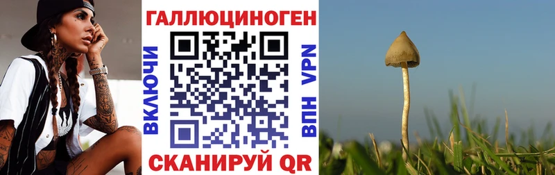 Псилоцибиновые грибы Psilocybe  Купить закладки  Королёв 